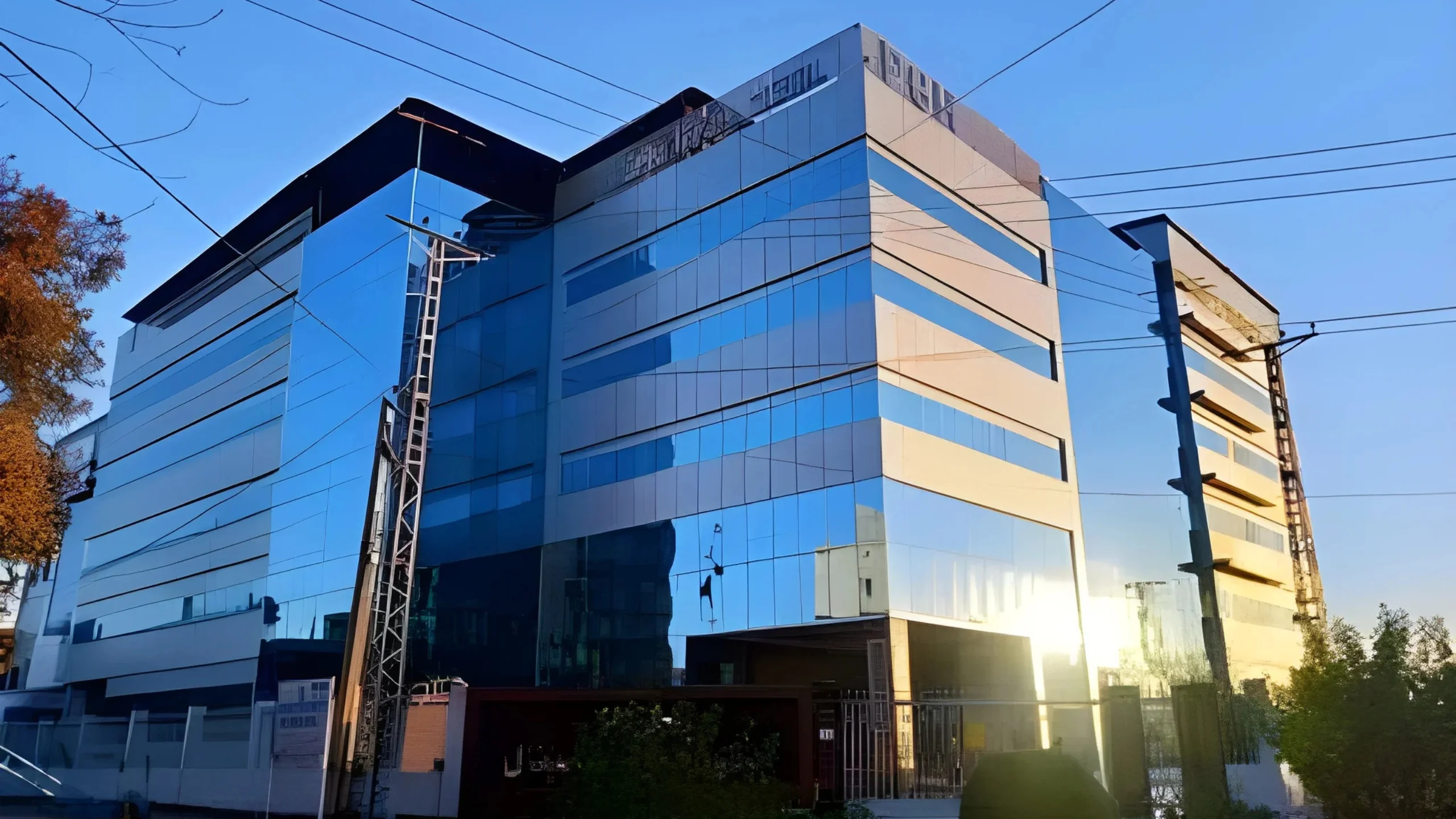 Untitled design (18)